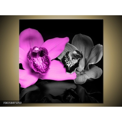 Obraz orchidej