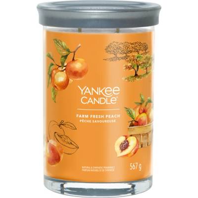 Yankee Candle Signature Farm Fresh Peach Tumbler 567g