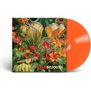 CAVS - SOJOURN LP