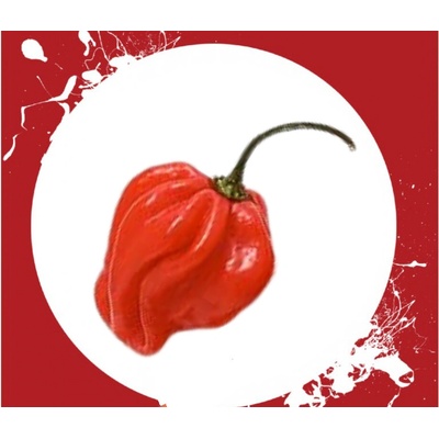 CHILLIMAT Chilli semena Scotch Bonnet Red 10 ks