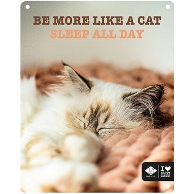 EBI D&D kovová tabulka: ,,Be more like a cat sleep all day\" 20 x 25 cm