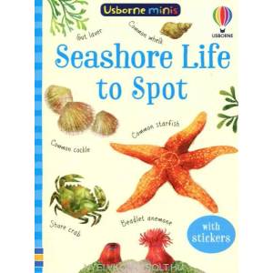 Seashore Life to Spot | SAM SMITH (ISBN: 9781474974981)