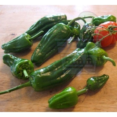Семена от люти чушки сорт "Падрон" (Pimientos de Padron) 25 бр (209100)
