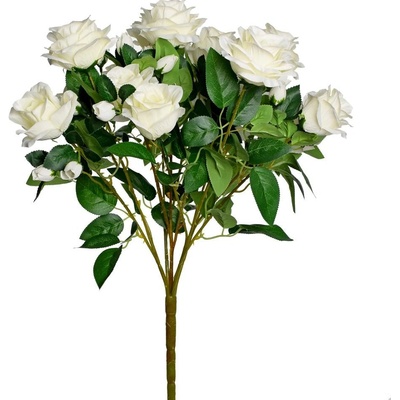 KYTICA RUŽA BIELA 60cm