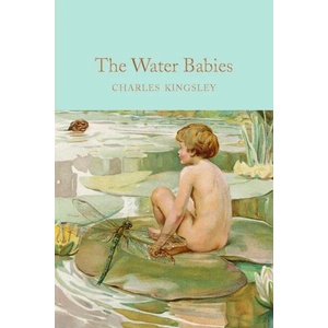 Water-Babies | Charles Kingsley, William Heath Robinson (ISBN: 9781909621404)