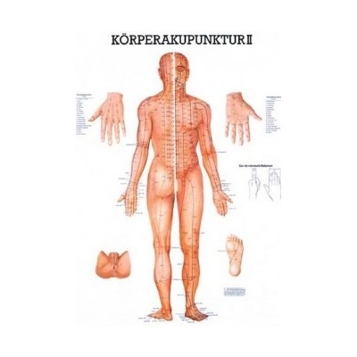 Rüdiger-Anatomie Naučný plakát Akupunktura těla II