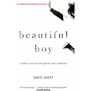 Beautiful Boy (ISBN: 9781471177934)