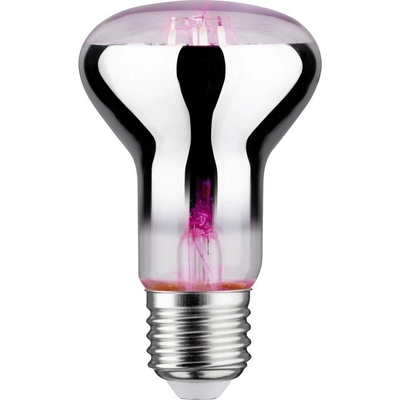 Paulmann LED lampa pre rast rastlín 230 V E27 6.5 W jantár 1 ks; 28732