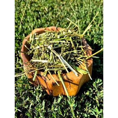 Вълшебната гора " Вълшебната гора" - Стъбла от копър, 150гр