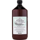 Davines NATURALTECH Detoxifying šampon pro hloubkové čištění atonické pokožky 1000 ml