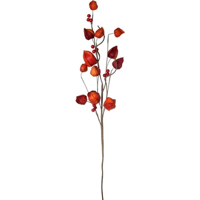 VETVIČKA PHYSALIS ORANŽOVÝ 70*20*6CM