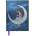 Flame Tree Publishing Jean & Ron Henry: Moon Maiden (Foiled Journal) | Flame Tree Studio
