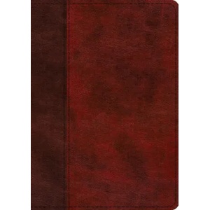 ESV Single Column Journaling Bible, Large Print (ISBN: 9781433568732)