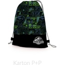 Karton P+P Jurassic World
