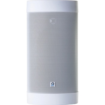 Origin Acoustics OS65
