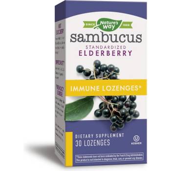Nature's Way Самбукус Immune 210 mg 30 таблетки за смучене | Nature’s Way (14002)