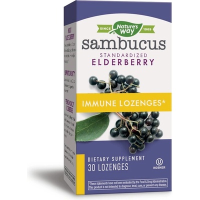 Nature's Way Самбукус Immune 210 mg 30 таблетки за смучене | Nature’s Way (14002)