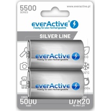 everActive silver line D 5500 mAh 2ks EVHRL20-5500