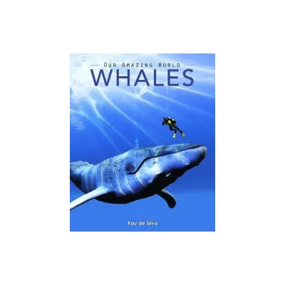 Whales | Kay de Silva