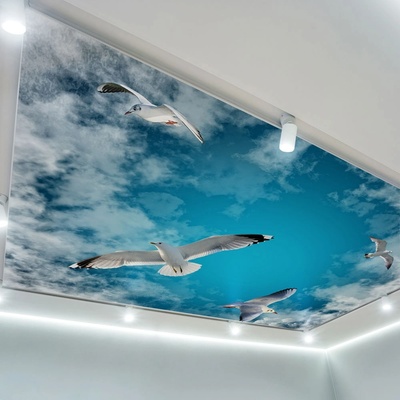 Art Gift Decor Фототапет за таван Гларуси в небето