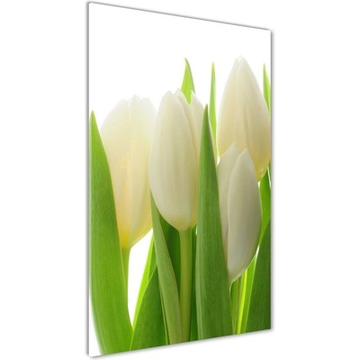 Vertikálny foto obraz sklo tvrdené Biele tulipány 50x100 cm