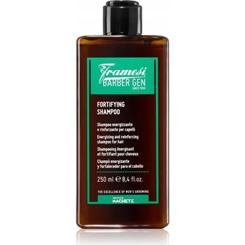 Framesi Barber Gen šampon na vlasy a vousy 250 ml