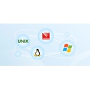 Microsoft Windows Server CAL 2025 ENG (EP2-25243)