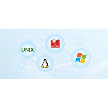 Microsoft Windows Server CAL 2025 ENG (EP2-25243)