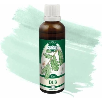 Naděje tinktúra z púčikov dub letný P12 50 ml