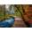 Ravensburger - Puzzle Beautiful Walkways: Autumnal Woodland Trail, Croatia - 1 000 piese