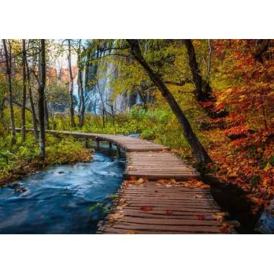 Ravensburger - Puzzle Beautiful Walkways: Autumnal Woodland Trail, Croatia - 1 000 piese