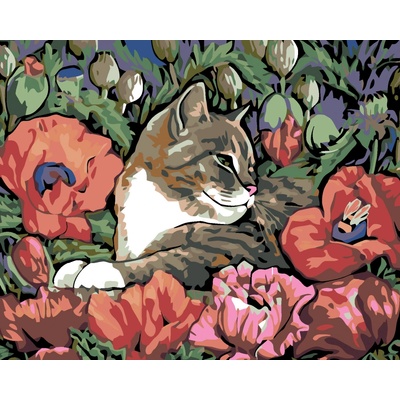 Zuty Malování podle čísel Kotě a vlčí mák 100 x 80 cm bez rámu a bez vypnutí plátna