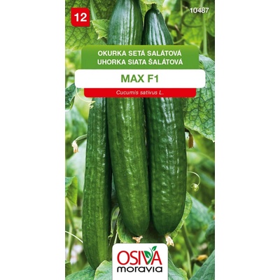 Okurka salátová - Max F1