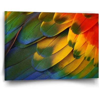 Sablio Obraz Farebné perie - 90x60 cm