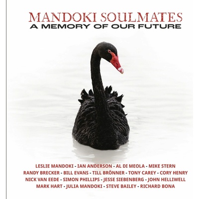 Mandoki Soulmates: A Memory Of Our Future: 2 LP LP