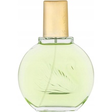 Gloria Vanderbilt Jardin a New York parfumovaná voda dámska 100 ml