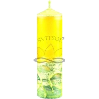 Svitsol Válcová svíčka úzká vysoká Citronella 130 g