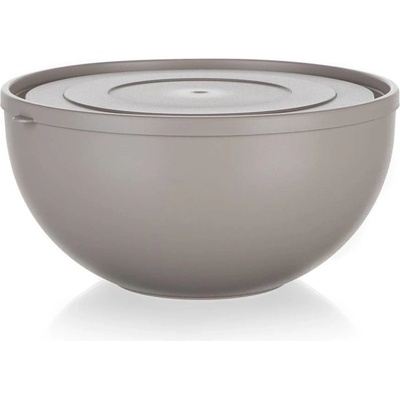 Banquet Miska plastová s víkem Culinaria 24,7 4 l