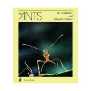 Ants | Bert Hölldobler, Edward O. Wilson (ISBN: 9783540520924)