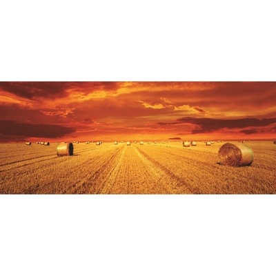 Preinterier Fototapeta - FT0764 - vlies - 832cm x 254cm