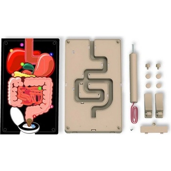 Kidzlabs 4M Tráviaci systém