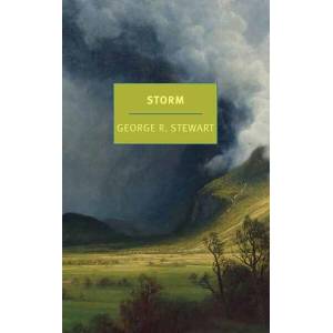 Storm | Nathaniel Rich (ISBN: 9781681375182)