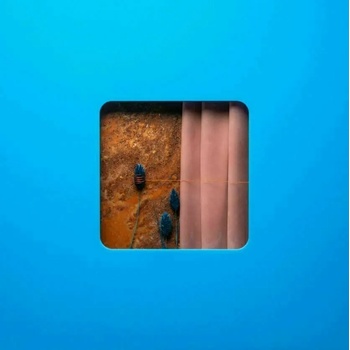 Image 1 of Modern Error - Victim Of A Modern Age (2 LP) (8054521841064)