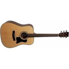 Tanglewood TD8
