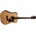 Tanglewood TD8