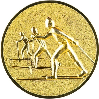 0434 Emblém lyžování