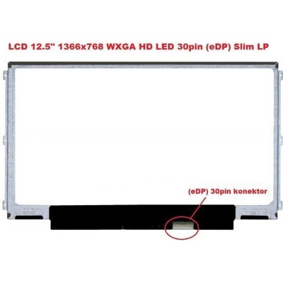 B125XTN02.0 HW1A LCD 12.5" 1366x768 WXGA HD LED 30pin (eDP) Slim LP display displej lesklý povrch
