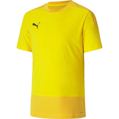 Puma Team Goal 23 Training 65648207