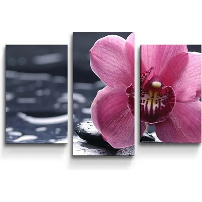 Sablio Obraz - 3-dílný Orchidej - 75x50 cm