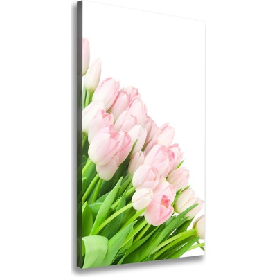 Vertikálny foto obraz na plátne Ružové tulipány 50x100 cm